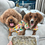 Bentley & Jerrie