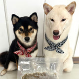 nori & gohan