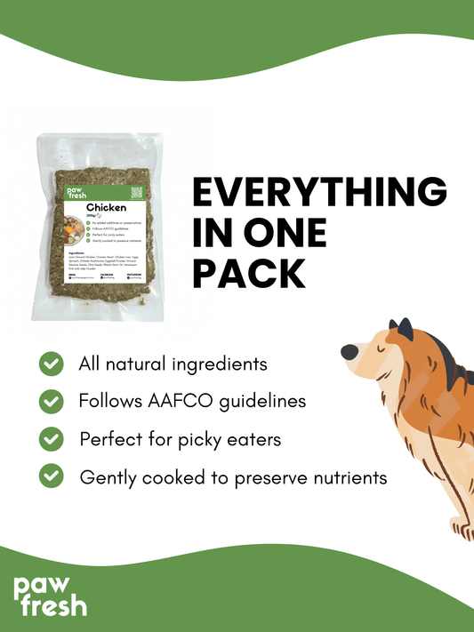 Gently cooked healthy dog food made with natural ingredients