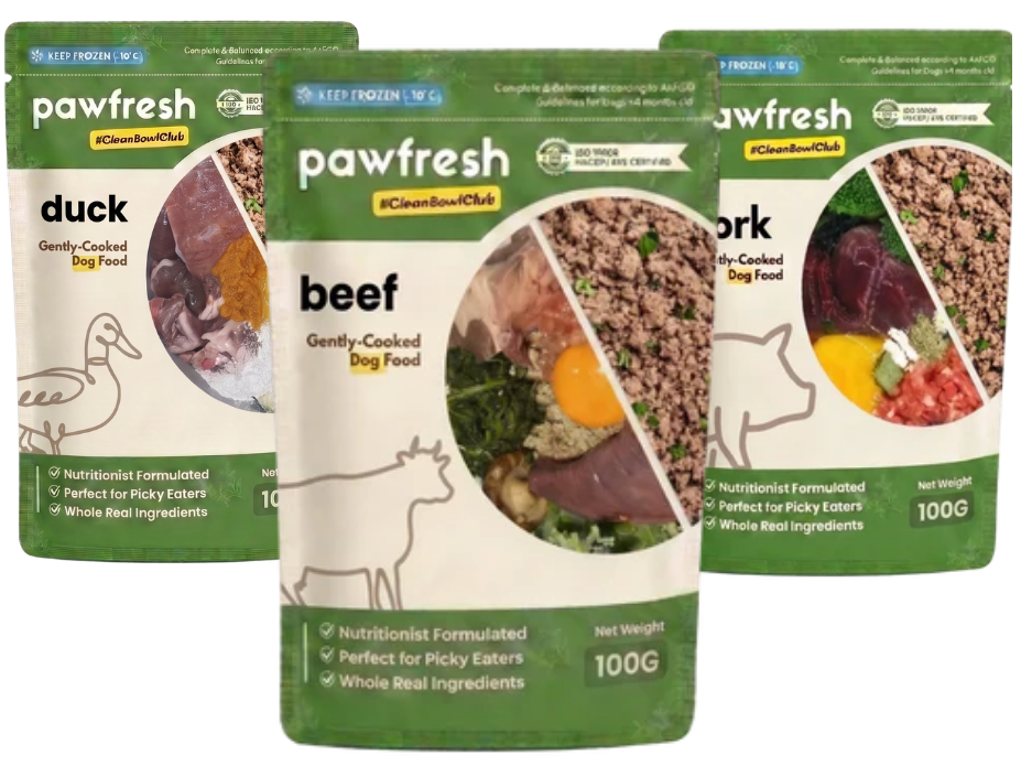 Fresh Trial Dog Food ingredients including trial dog meal, egg, and vegetables in a bowl.